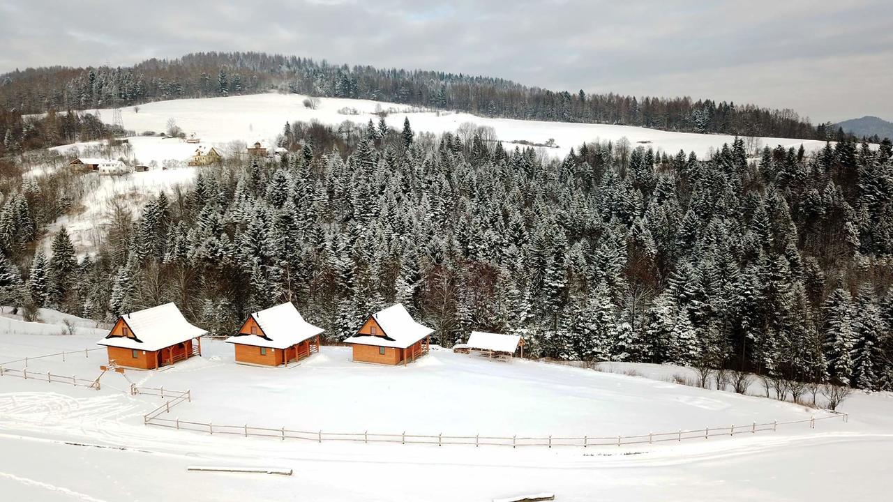 Chatki Niwki U Zboja Krościenko Esterno foto