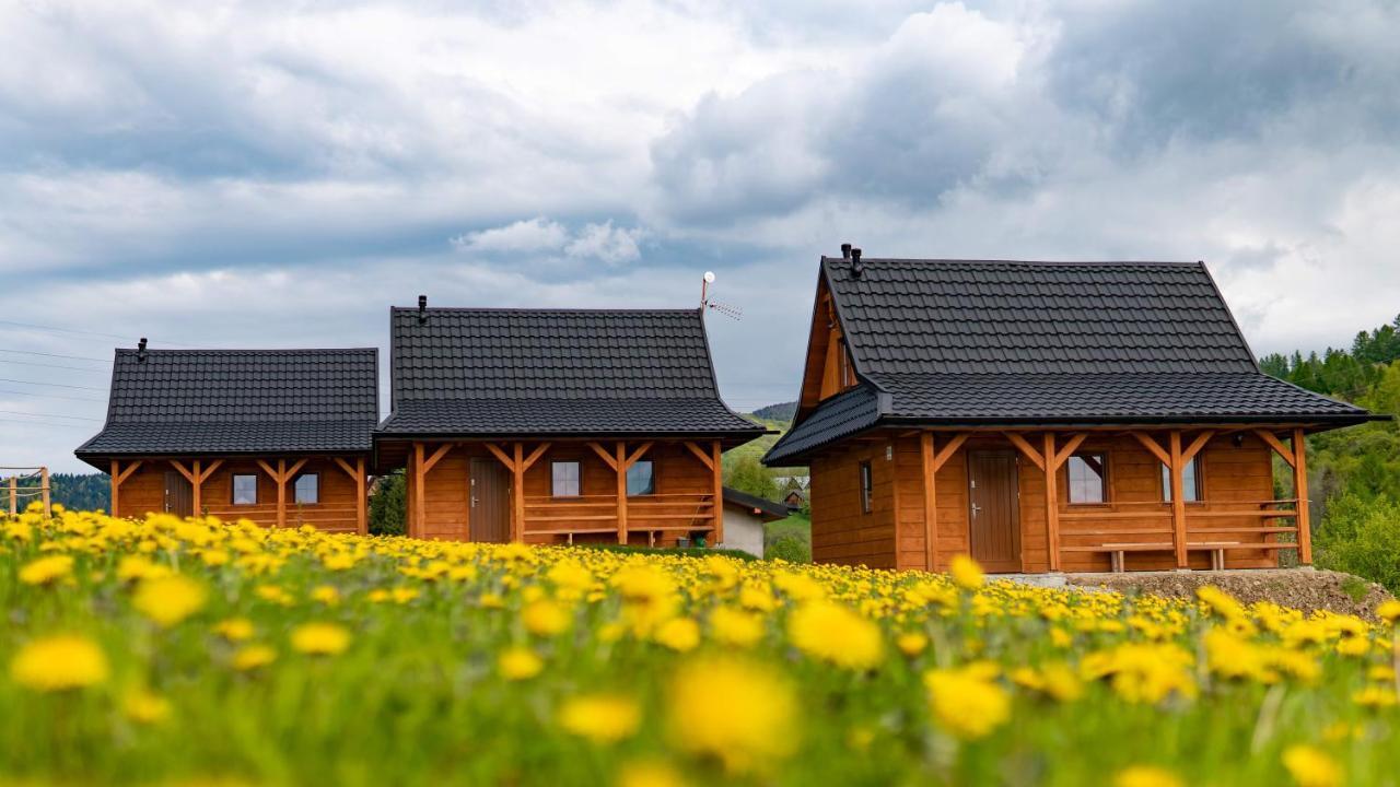 Chatki Niwki U Zboja Krościenko Esterno foto